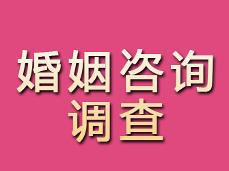 张家川婚姻咨询调查